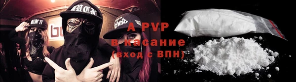 стаф Липки