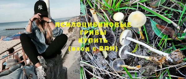 меф Майский
