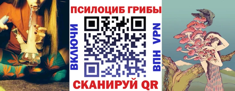 цены   Спасск  ссылка на мегу ONION  Псилоцибиновые грибы Psilocybe 
